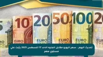 تحديث اليوم.. سعر اليورو مقابل الجنيه الأحد 17 أغسطس 2025 يثبت على مستوى مهم